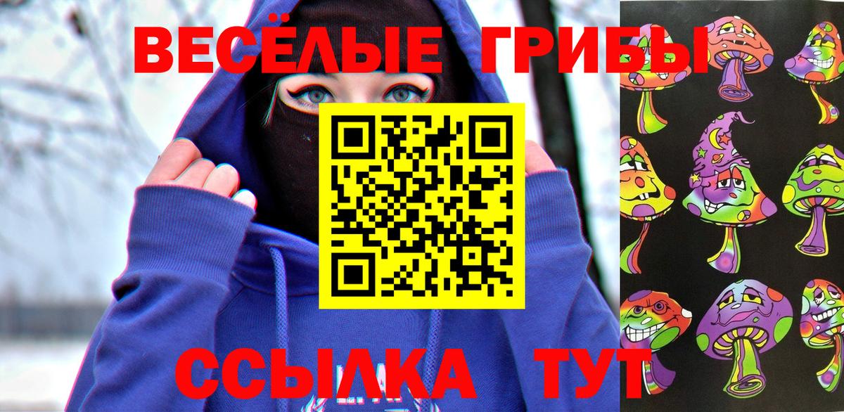 Псилоцибиновые грибы прущие грибы Новоалтайск