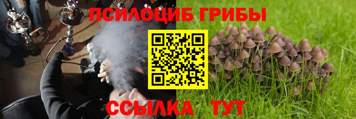 Псилоцибиновые грибы мицелий  Псилоцибиновые грибы Magic Shrooms  Вход с VPN  Новоалтайск 